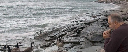Yves talking to the geese Yves talking to the geese