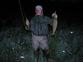 Nighttime trophy Nighttime trophy