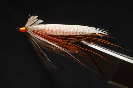 Orange Brown Owl Orange Brown Owl