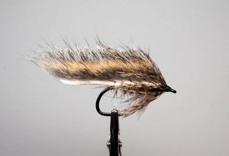 A small throat hackle A small throat hackle
