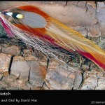 #116 Daniel Hatch - David Mac #116 Daniel Hatch - David Mac