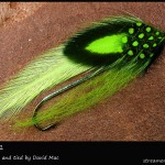 #287 Niece #1 - David Mac #287 Niece #1 - David Mac