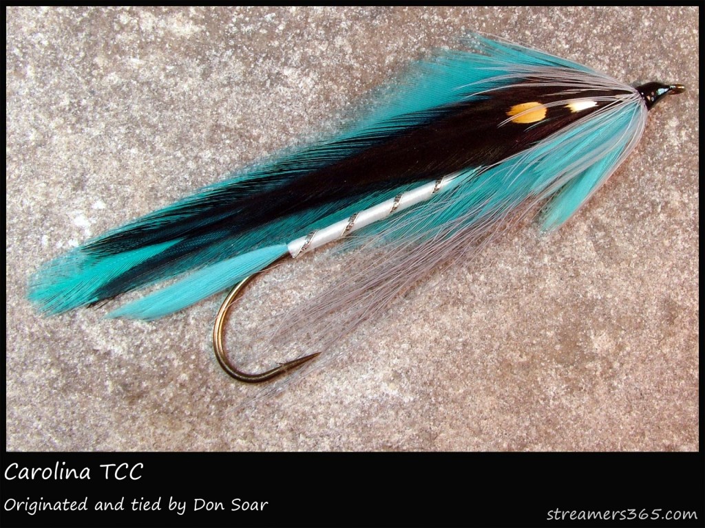 #325 Carolina - Team Colors Collection - Don Soar