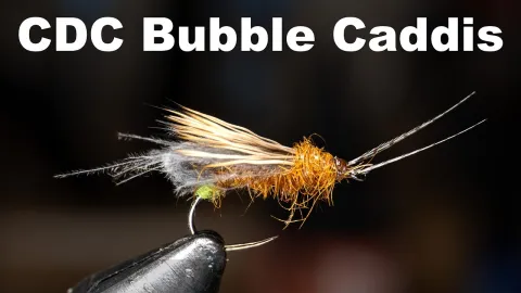 Video thumb for CDC Bubble Caddis