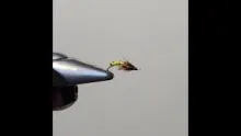 Video thumb for Krueger's Poudre Pupa Caddis