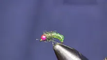 Video thumb for Bead Head Green Caddis Larva