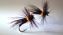 Video thumb for Chocolate Drop/Brown Caddis