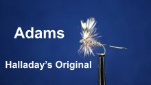Video thumb for Adams Dry Fly - Original Halladay Version