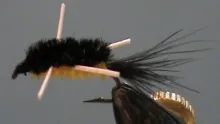 Video thumb for Panfish Polecat