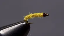 Video thumb for Corded Midge Larva