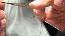 Video thumb for Sawyer Pheasant Tail Nymph 