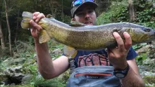 Video thumb for Looking for marble trout