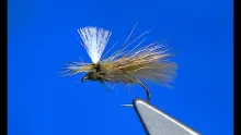 Video thumb for Parachute Caddis
