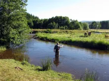 User submitted picture: "Lovely France , where i...