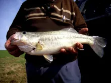 User submitted picture: Fishing guide Afonso disp...