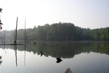 User submitted picture: Rush Run Lake is a 37 acr...