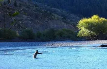 User submitted picture: Flyfisher woman casting i...