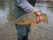 User submitted picture: This a Utah high desert b...