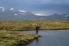 User submitted picture: On the Kalfjäll 1