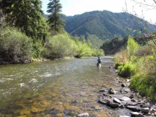 User submitted picture: Fishing beetle patterns o...