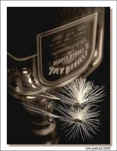 User submitted picture: The flyfishing still life...