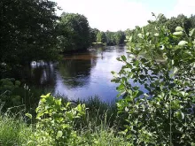 User submitted picture: Ripley had a bad habit of...