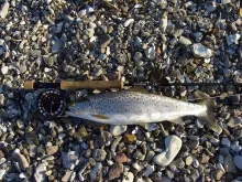 User submitted picture: i love it...