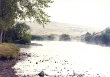 User submitted picture: the awakening of my hopes...