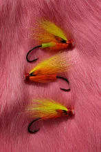 User submitted picture: Very colourful tube flies...