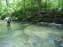 User submitted picture: This was taken while fish...