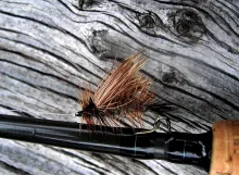 User submitted picture: Big Grey Stimulator for t...