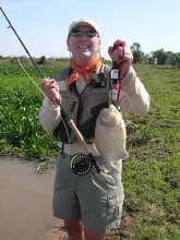 User submitted picture: PIRANHA !!!!!!!!