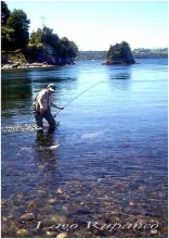 User submitted picture: Captura de trucha arco ir...