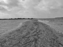 User submitted picture: black or white