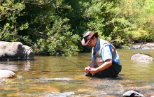 User submitted picture: Liberando una pequeÃ±a cap...