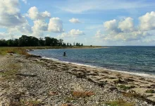 User submitted picture: Ivar on the coast