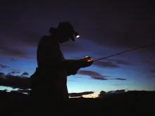 User submitted picture: The Fly Fisher is looking...