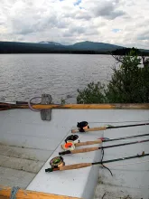 User submitted picture: Lunch Time !! by www.guid...