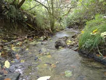 User submitted picture: The maternity ward for se...