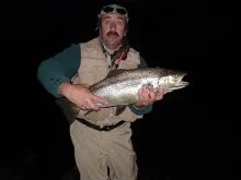 User submitted picture: BROWN TROUT
FISH WITH WI...