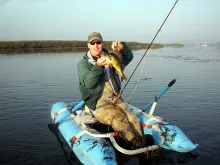 User submitted picture: Late summer morning perch...