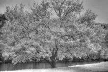 User submitted picture: Single Image Tone-mapped ...