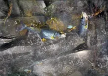 User submitted picture: This image is the result ...