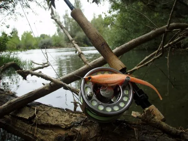 User submitted picture: Looking for pike