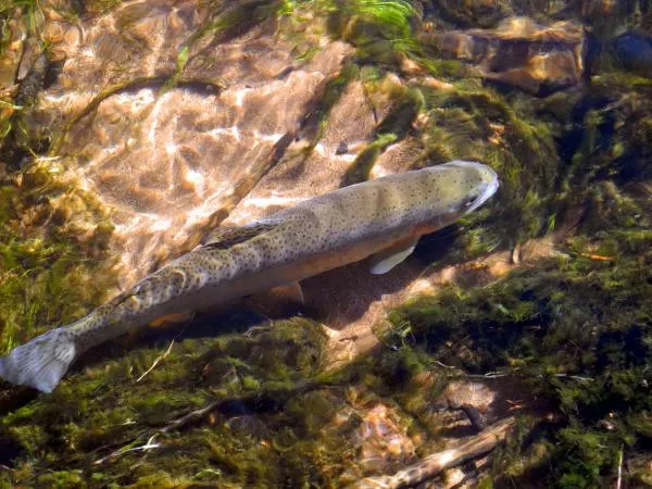 User submitted picture: South Platte Rainbow