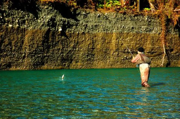 User submitted picture: jump jump- paringa trout ...