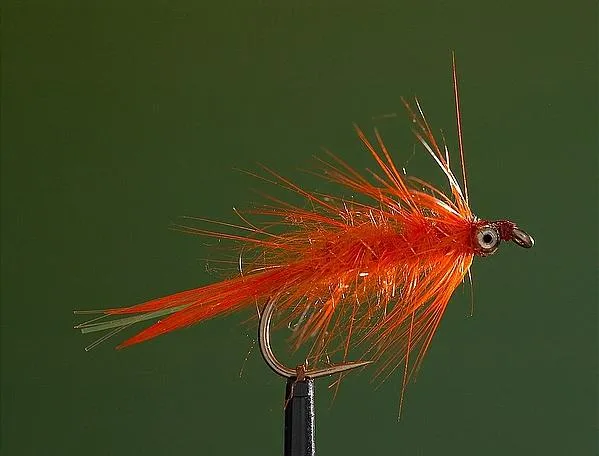 User submitted picture: Chilimps variation