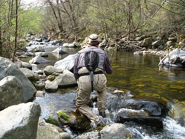 User submitted picture: Trout just under the rod ...