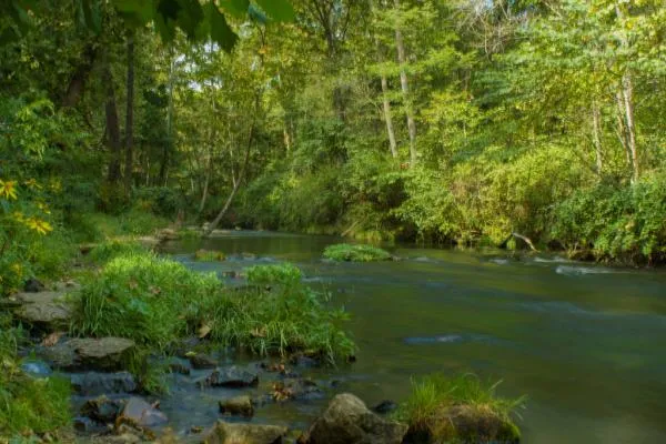 User submitted picture: Upper Dry Run Creek