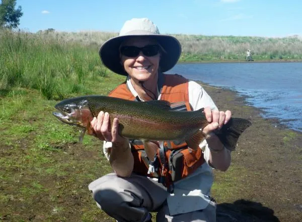 User submitted picture: The trout are nervous wit...